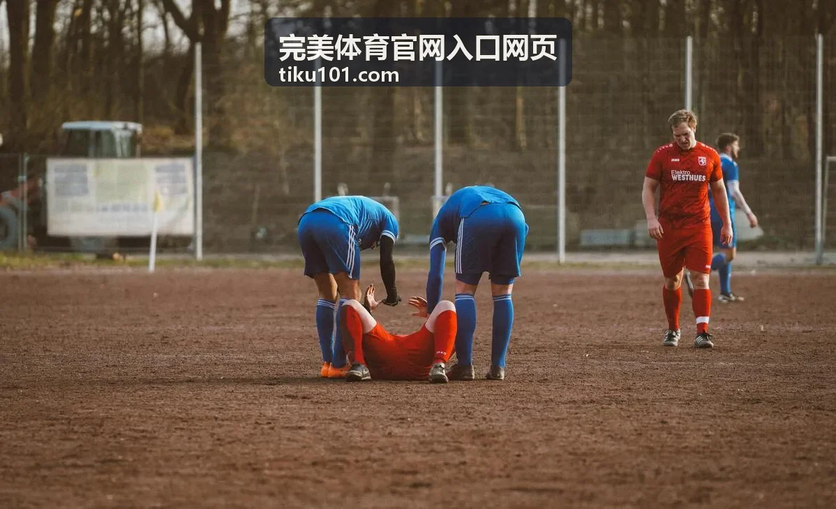 完美体育实时比分服务